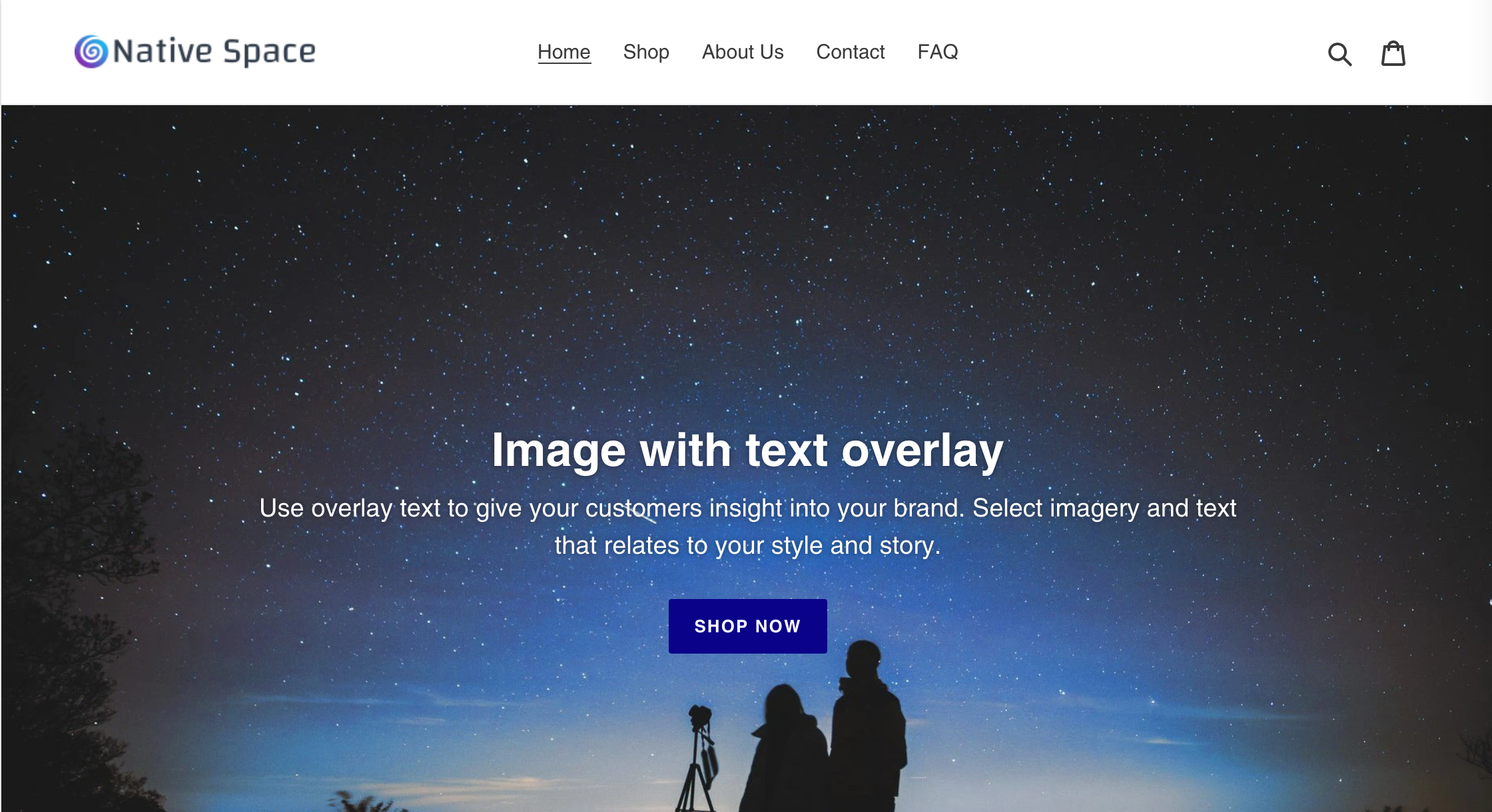 Will Rains Shopify project example custom external link and page